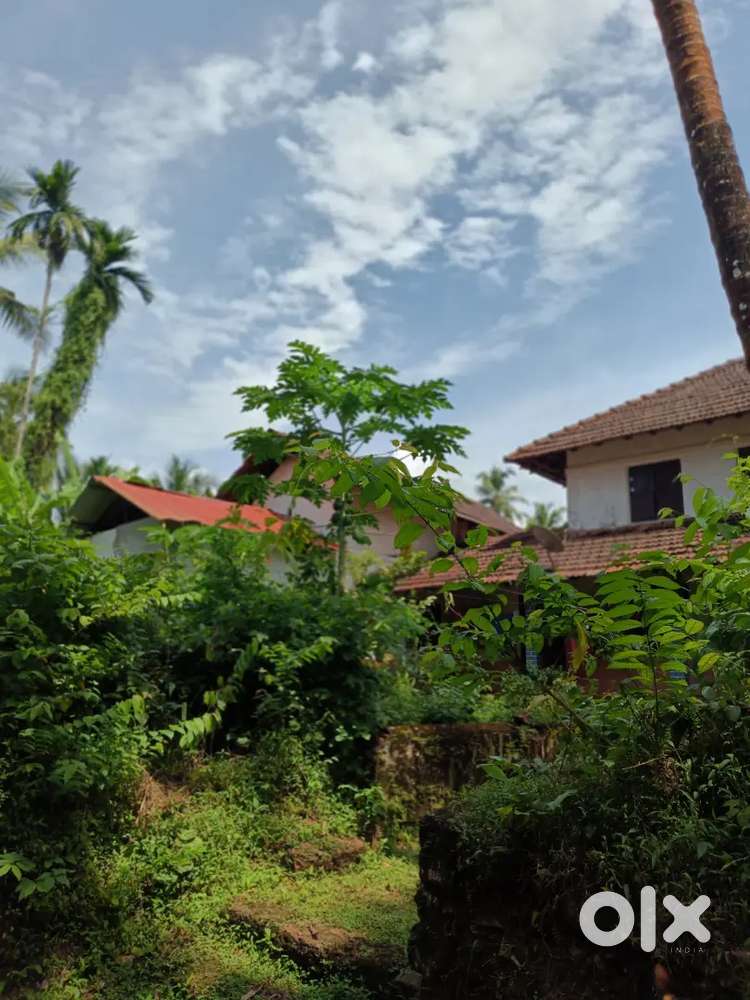 3 BHK House, Templegate