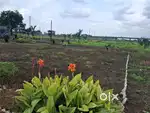 Farming Plot For Sell (250rs Per Sqft) 5000-100000 Sq.Ft Area