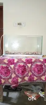 Urgent sale