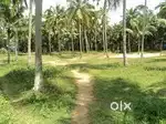 17 CENTS OF LAND