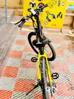 EMotorad EMX Electric Cycle