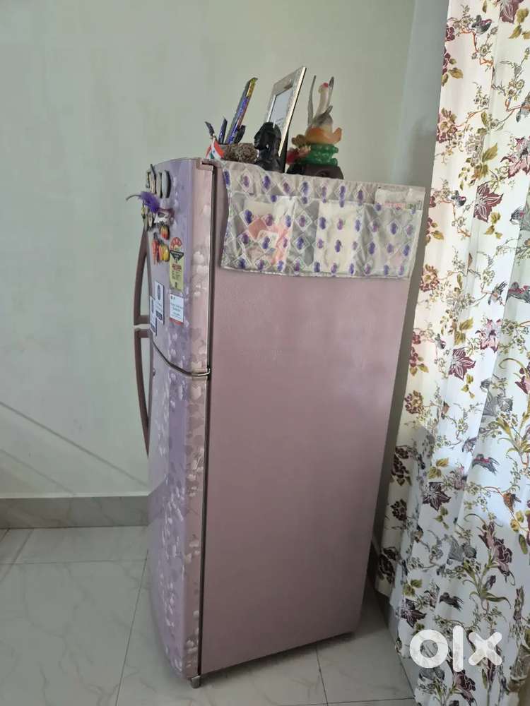 Double Door LG 260 Litre Fridge