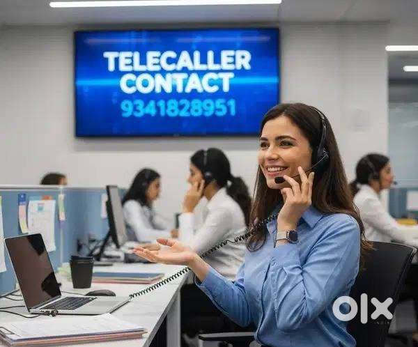 Customer Support Excecutive