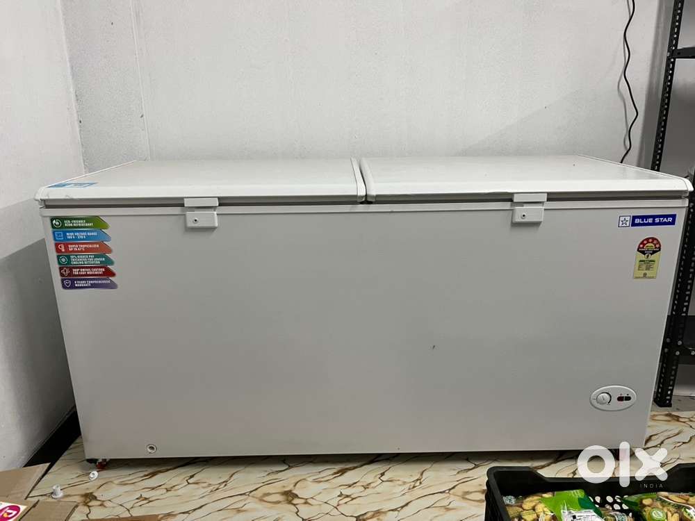 Blue star freezar 500 ltr
