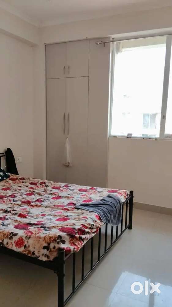 Urgent need a flatmate