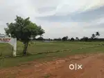 Thozupedu Olakkur plots for sale