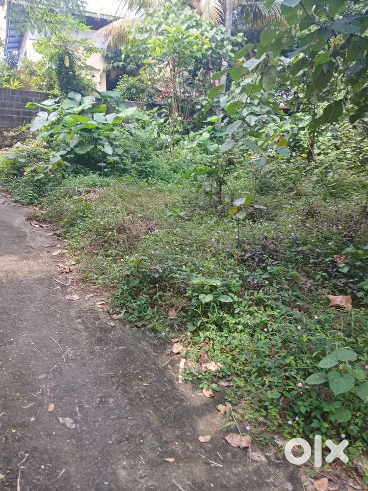 Plot for sale in near sreekariyam society junction
