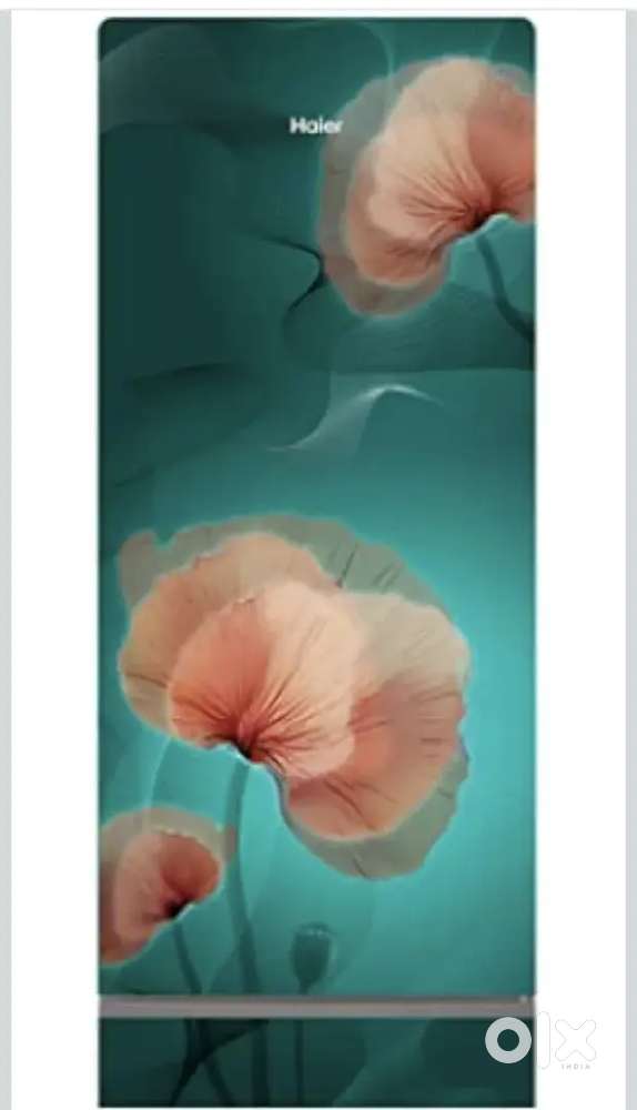 Haier Single Door Fridge