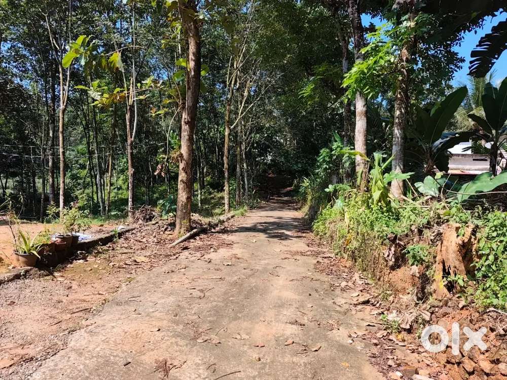 Kothamangalam pothanicad 70 cent for sale