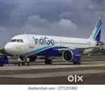 APPLY URGENT AIRPORT JOBS INDIGO AIRLINES GROUND STAFF & CABIN CREW