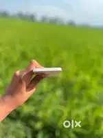 Iphone 13 with box