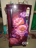 Voltas freeze