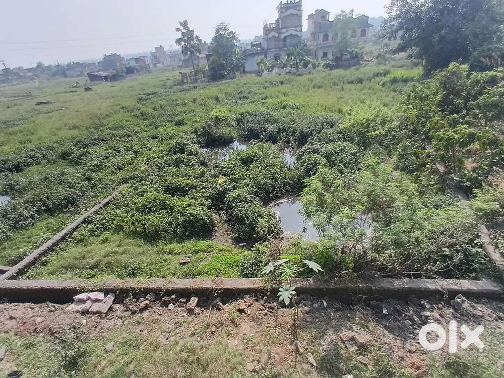 POLT FOR SALE OWNERSHIP