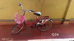 MISS INDIA LADIES BICYCLE