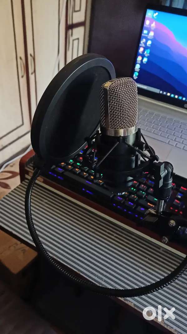 Zabel rc 02 condenser microphone with boom arm,pop filter