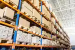 Digital scanning executive in warehouse executive
