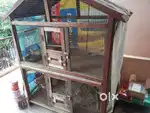 Wooden Bird cage