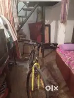 non gear cycle