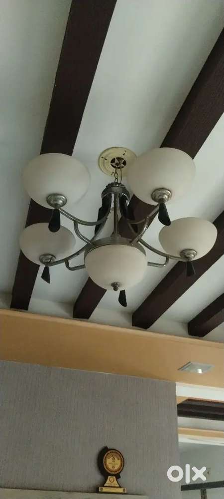 Hall jumar & heavy glass big tipoy