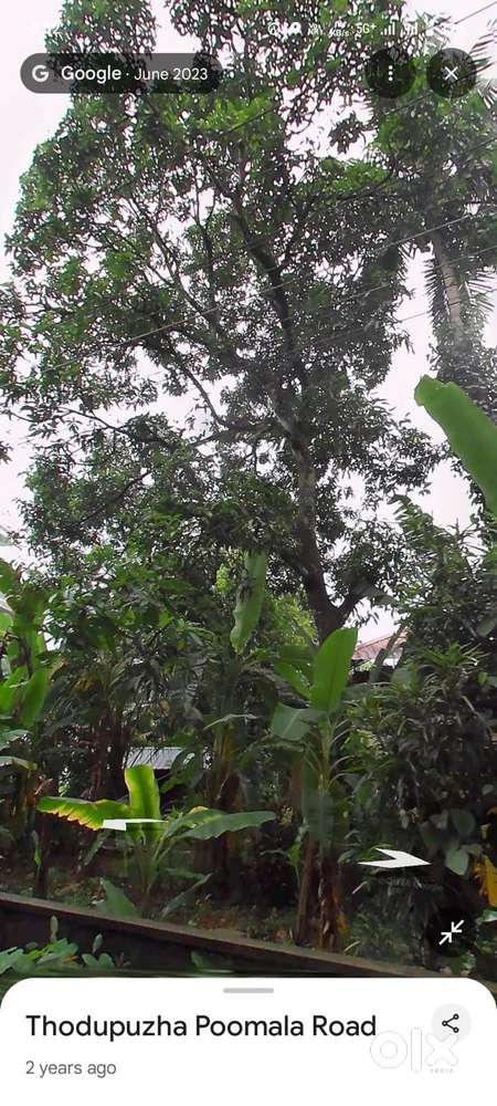 സ്ഥലം വിൽപ്പനക്ക്