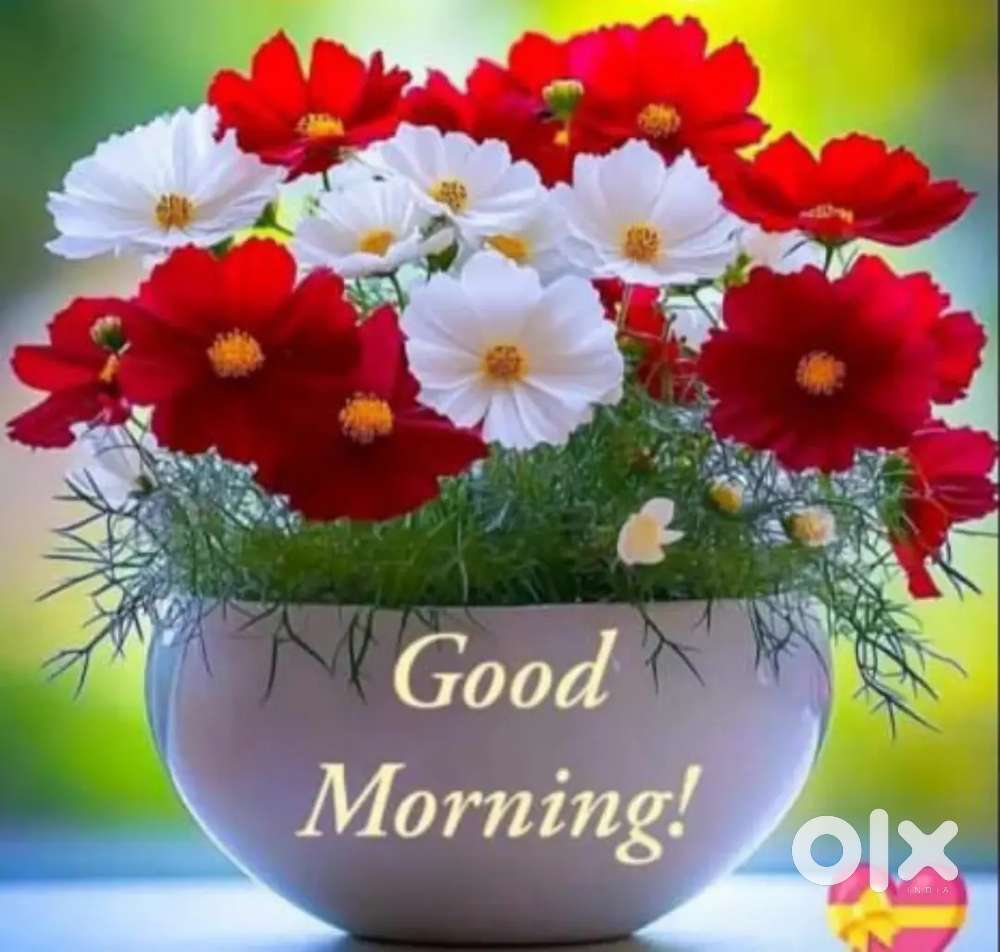 2 BHK Makan for Rent – Sarkanda के पास (₹8,000/महीना)