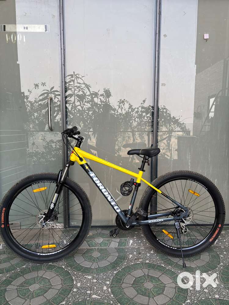 Tornonto Niagara 29”