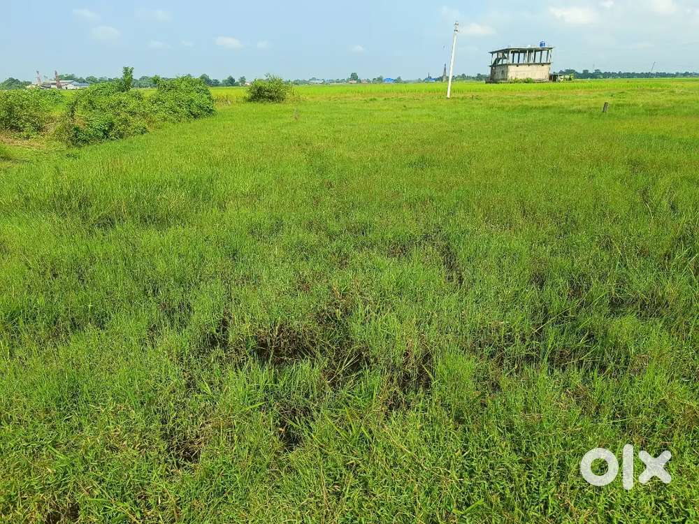 1 Katha 5 lessa Land for sale SENSUWA TINIALI