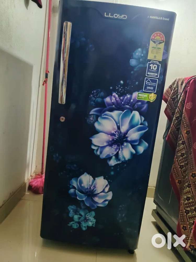 Llyod refrigerator