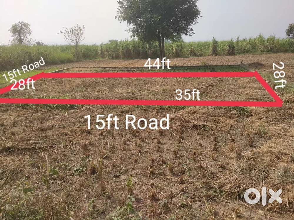 Doiwala Dharmuchak road, khatta marg