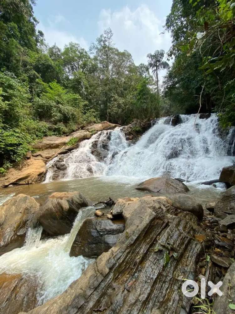 Villa resort for sale in Madikeri