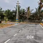 Periyanaickenpalayam veerapandi location New DTCP plots sale