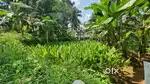 16 cent Land for sale