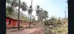 13 cent plot for sale