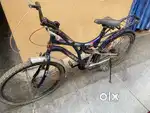 Atlas cycle with shock absorber