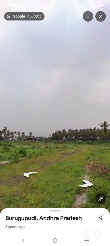 Burugupudi near DTCP land for sale budget friendly rate