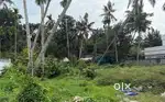 11 Cents Prime Residential Land.