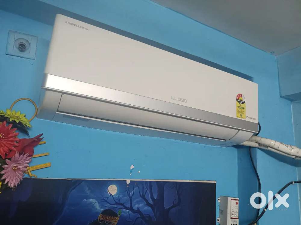 Good condition to have go