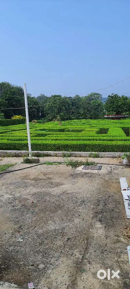 Prime plot at Gosaninuagam