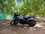 Himalayan 450 popy blue