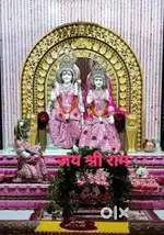 1500 डायवर्टेड प्लॉट बसंत विहार