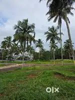 10 cent Premium plots for sale in Mannarkkad