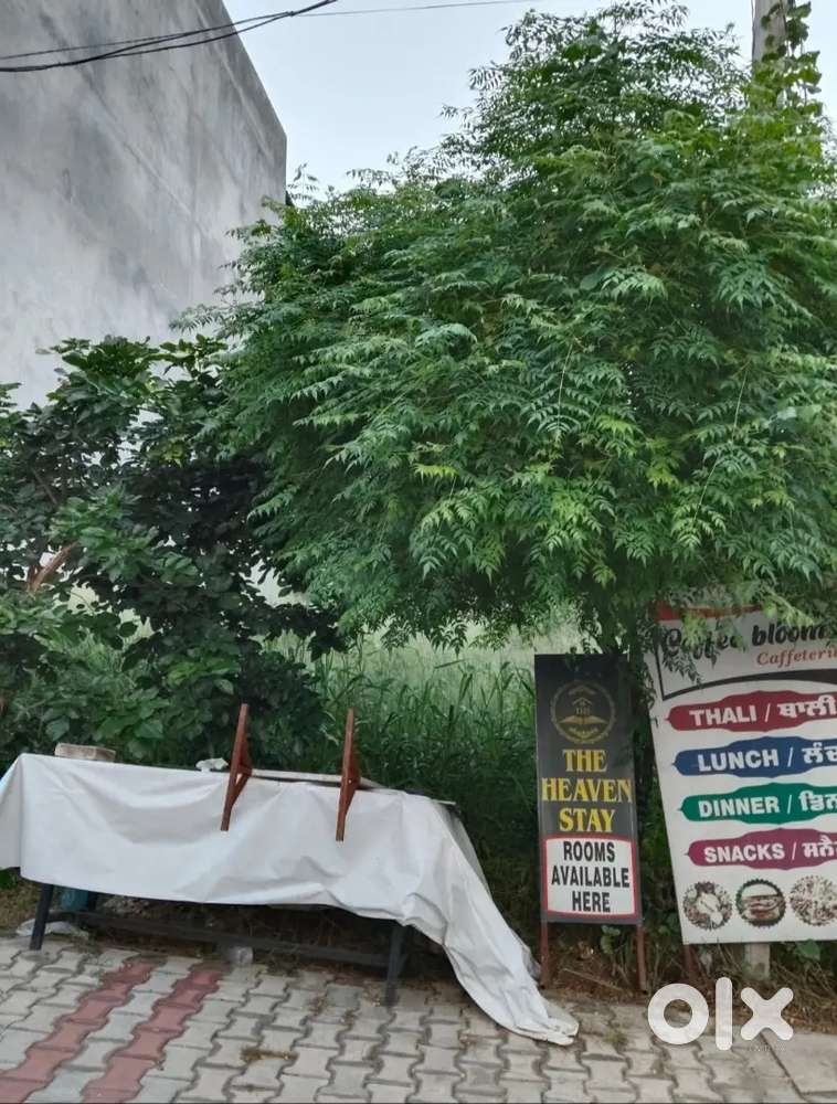 Plot 34 gaz kiwi hospital back side Ajnala road