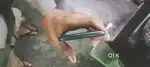 One plus 5t 8 128