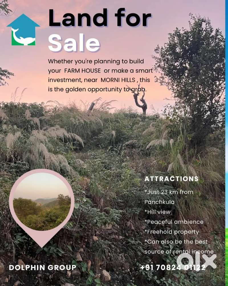 1 bigha farm house for sale in Morni hills