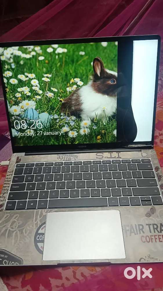 Realmebook Slim Gray Laptop