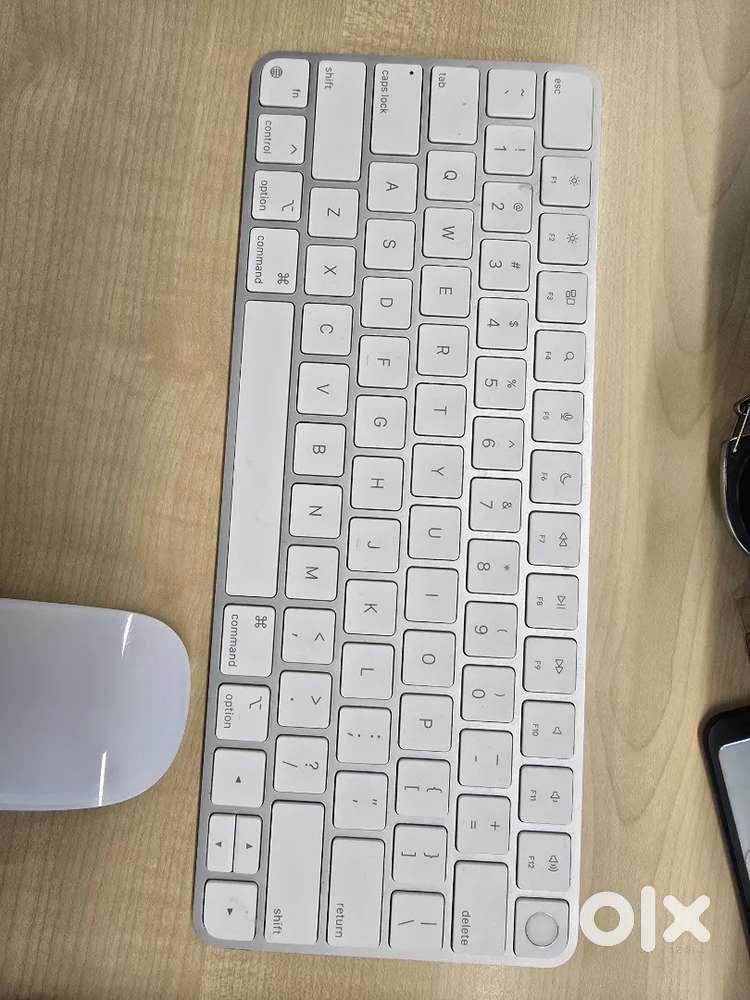 Apple mouse and Apple keyboard with touch ID