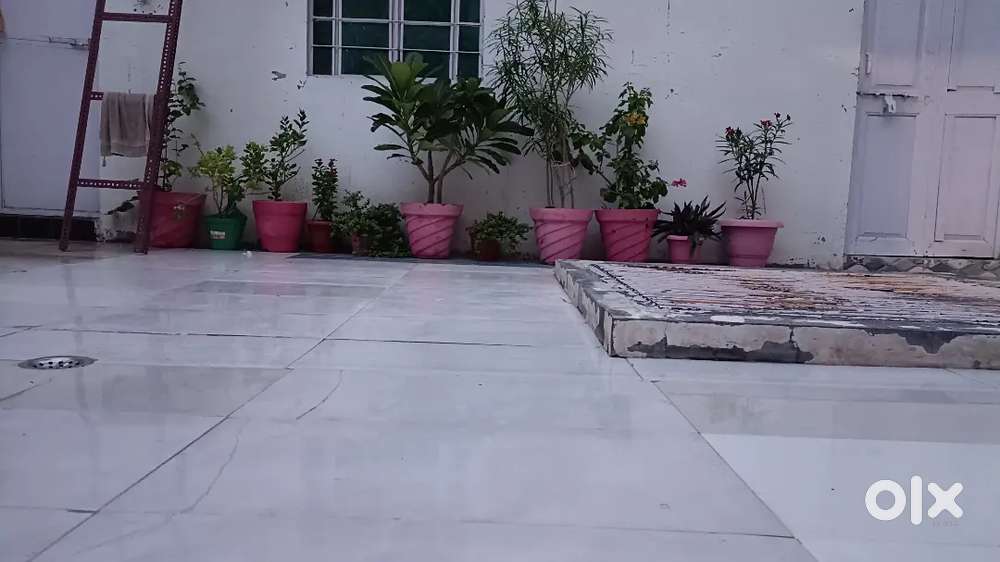 Sarvodaya basti me makan