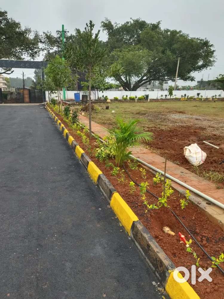 Royal sky properties