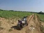 Agriculture land