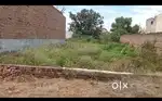 Plot for sale in Gulmohar city one lalru